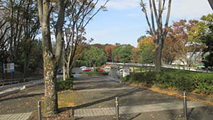 �N���b�N���Ċg��